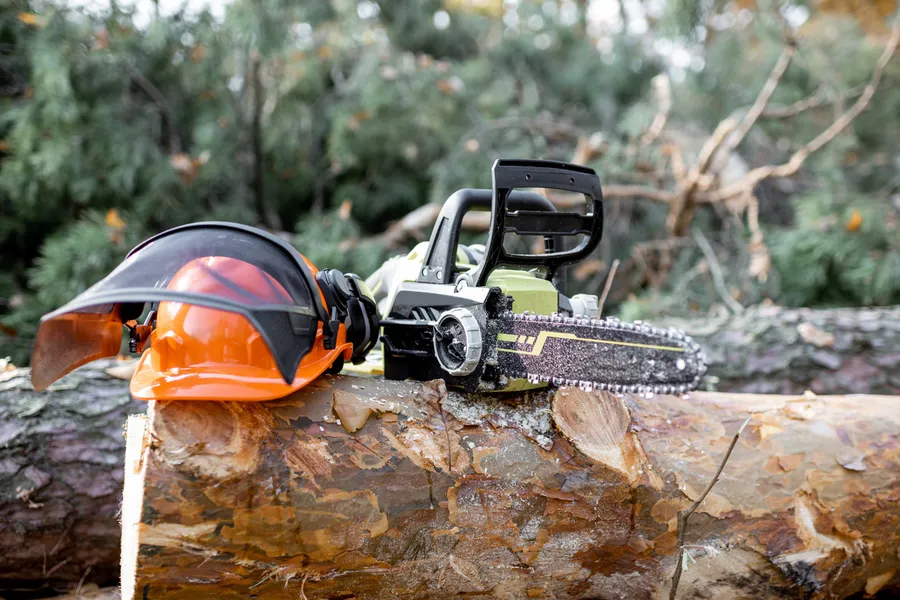 The Importance Of Safety Measures In Tree Cutting Services Kent, WA
